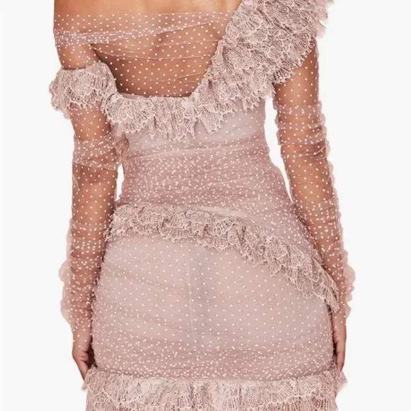 House of CB - Sorell Tulle Asymmetric Minidress - Picture 4 of 9